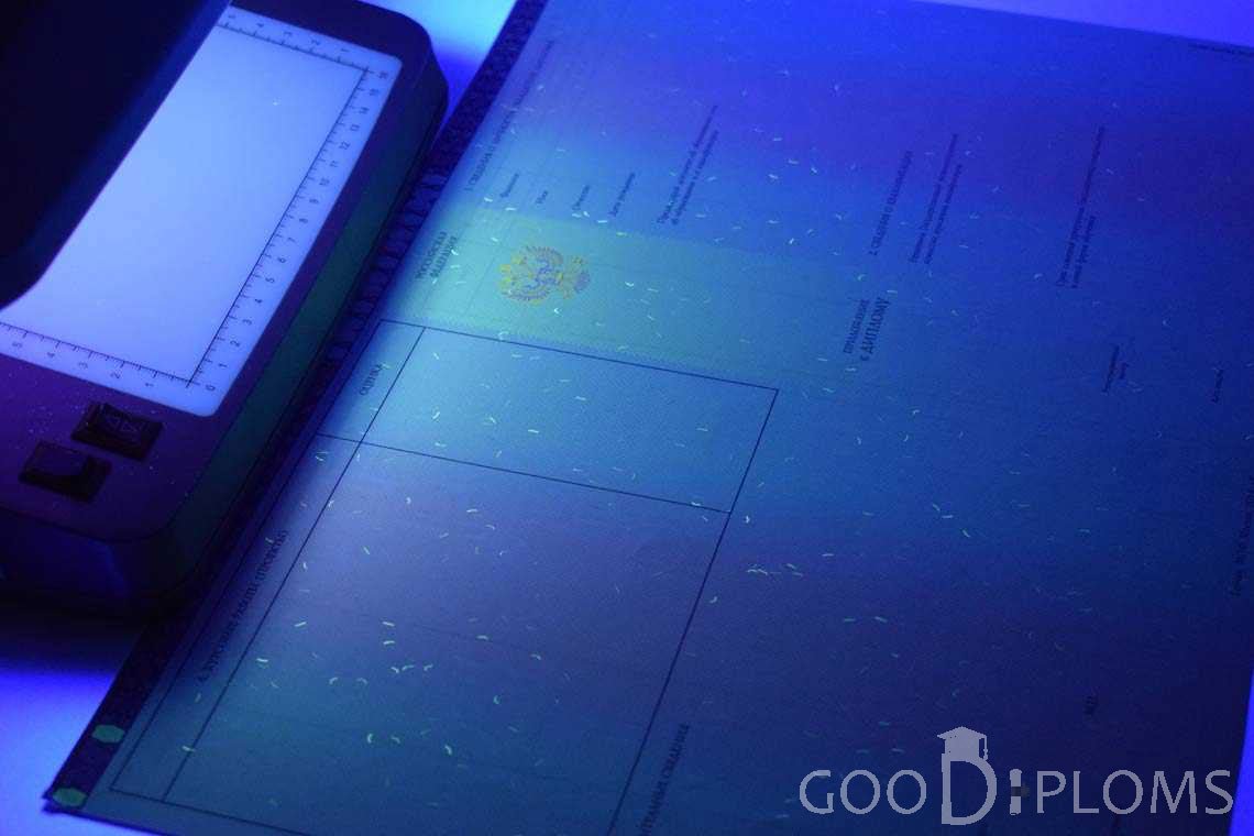 Приложение к Диплому Бакалавра с Отличием в Ультрафиолете период c 2013 по 2025 год - Кривой Рог