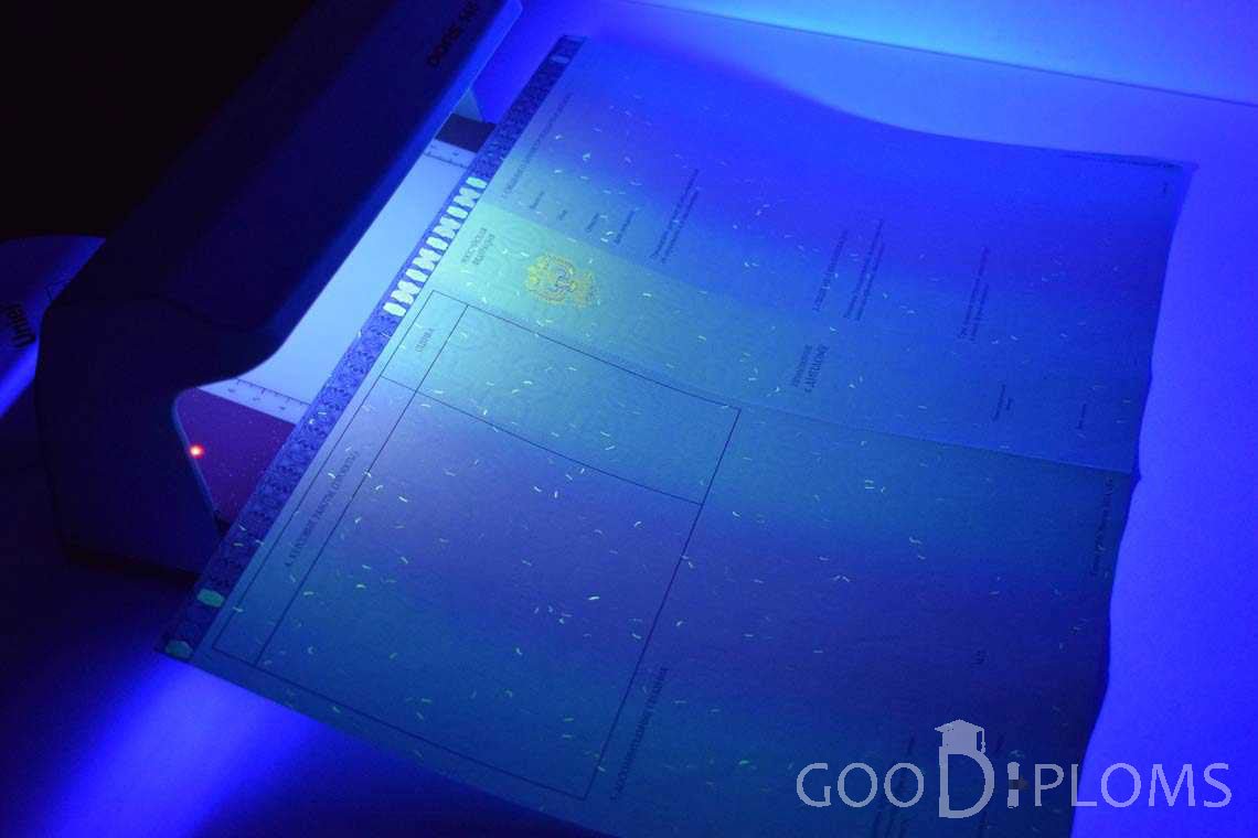 Приложение к Диплому Магистра в Ультрафиолете в период c 2014 по 2025 год - Кривой Рог